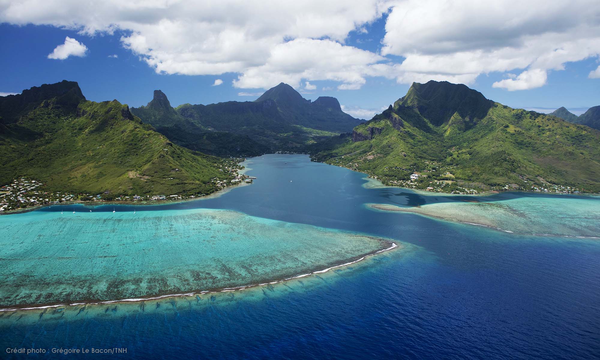 Image result for Moorea